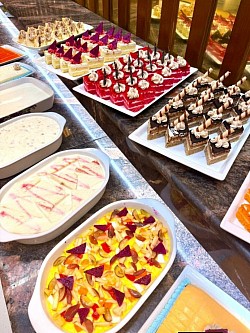 THE HUNGRY BEAR 🐻